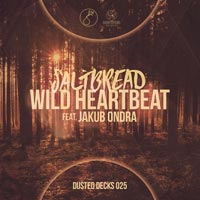 Saltbread feat. Jakub Ondra - Wild Heartbeaet