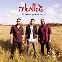 ג'אמאיה - עד שהבוקר יעלה