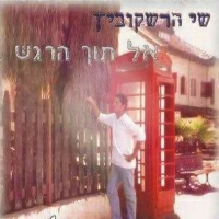 שי הרשקוביץ - מה עלה בגורלך