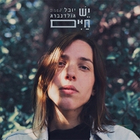 יובל גולדנברג - יש חיים