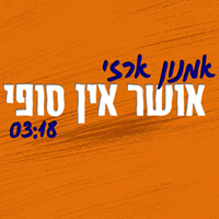 אמנון ארזי - אושר אין סופי