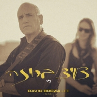 דויד ברוזה - לי
