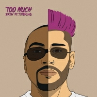 ZAYN feat. Timbaland - Too Much