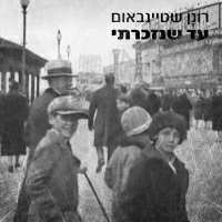 רונן שטיינבאום - עד שנזכרתי