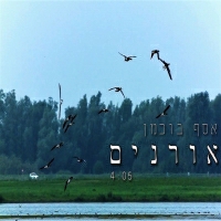 אסף בוכמן - אורנים