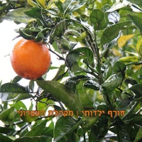 מקהלת העפרוני - חורף ילדותי