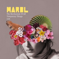 MARBL - The Mechanism Of All Temporary Things