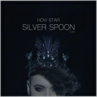 חובי סטאר - Silver Spoon