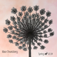 Maor Shvartzberg - Spring