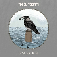 רועי גור - מים עמוקים