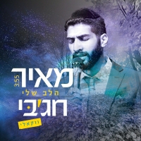 מאיר חג'בי - הלב שלי ווקאלי