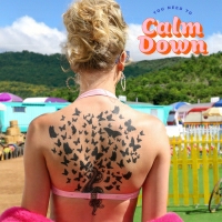 Taylor Swift - You Need To Calm Down