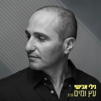 גילי אבישי - עץ ומים