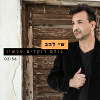 שי להב - כולם רוקדים עכשיו