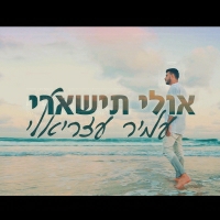 עמיר עזריאלי - אולי תישארי