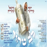 יוסף קרדונר ומיכאל שטרית - לב טהור