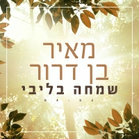 מאיר בן דרור - שמחה בליבי