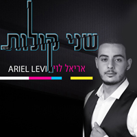 אריאל לוי - שני קולות