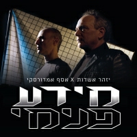 יזהר אשדות ואסף אמדורסקי - מידע פנימי