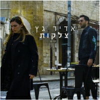 אדיר גץ - צלקות
