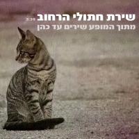 שירים עד כהן - שירת חתולי הרחוב