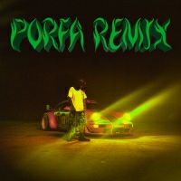 Feid and J. Balvin and Maluma and Nicky Jam and Sech and Justin Quiles - PORFA (Remix)