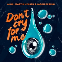 Alok and Martin Jensen and Jason Derulo - Don't Cry For Me