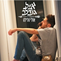 אייל גנדלר - אולי הלילה