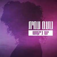 נועם עמית - יש ביקוש