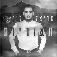 אריאל לוי - תאוריות