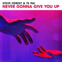 Steve Forest and Te Pai - Never Gonna Give You Up