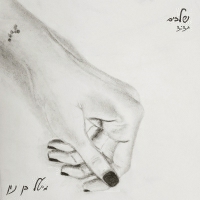 מיטל בן נון - שלבים