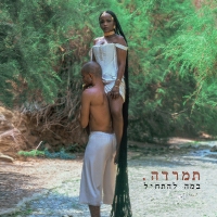 תמרדה - במה להתחיל