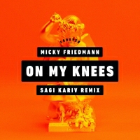 Micky Friedmann and Sagi Kariv - On My Knees (Sagi Kariv Remix)