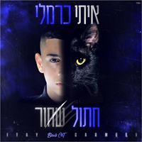 איתי כרמלי - חתול שחור