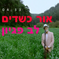 אור כשדים - לב פגיון