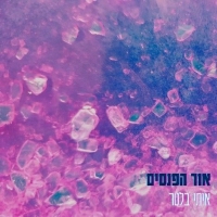 איתי בלטר - אור הפנסים