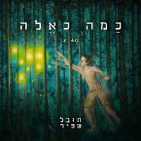 תובל שפיר - כמה כאלה