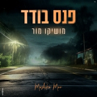 זהו זה! 2020 - פנס בודד
