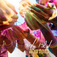 לי בירן - משהו אחר