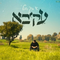 עקיבא - יש בך הכל