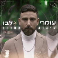 עומרי לבו - סיבוב אחרון