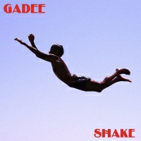 GADEE - Shake