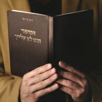 נועם צוריאלי - הסיפור הוא לא עלייך