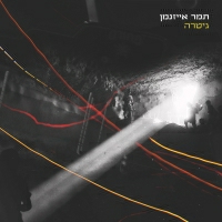 תמר אייזנמן - גיטרה