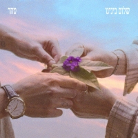 טהר - שלום בינינו