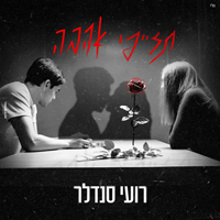 רועי סנדלר - תזייפי אהבה