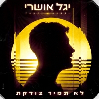 יגל אושרי - לא תמיד צודקת