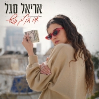 אריאל סגל - אם אין לך כסף