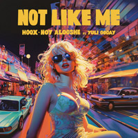 HOOX & Noy Alooshe feat. Yuli Goda - Not Like Me